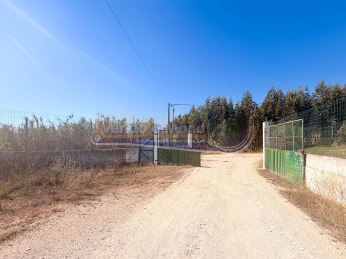 Armazém para Venda em Benavente Foto 14
