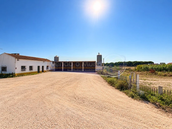 Armazém para Venda em Benavente Foto 2