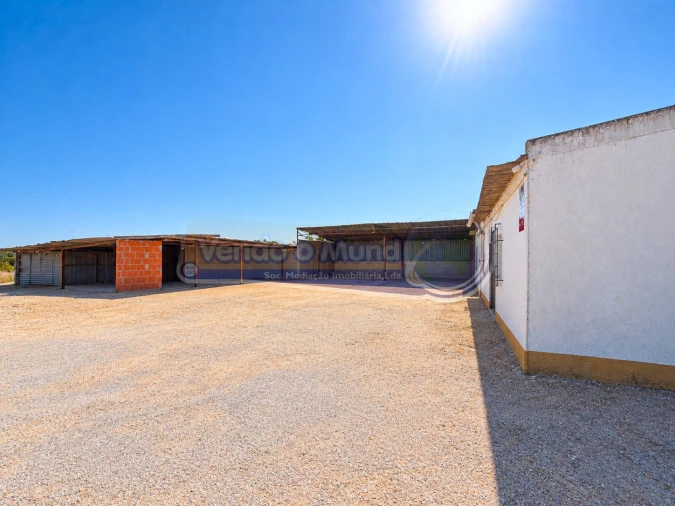 Armazém para Venda em Benavente Foto 3