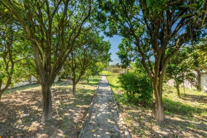 Moradia T5 para Venda em Vila Praia de Ancora