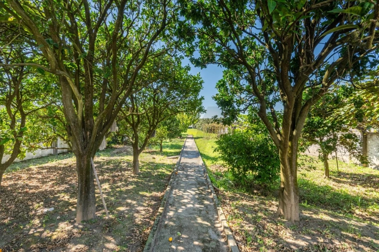 Moradia T5 para Venda em Vila Praia de Ancora Foto 34