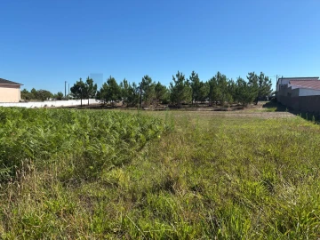 Terreno para Venda em Vieira de Leiria
