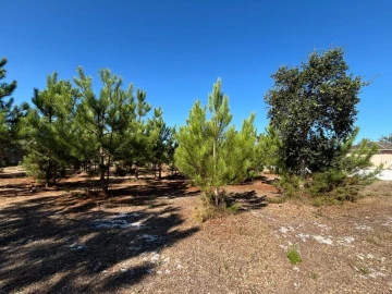 Terreno para Venda em Vieira de Leiria