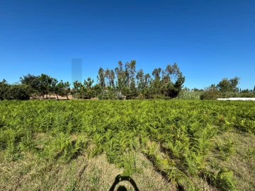 Terreno para Venda em Vieira de Leiria