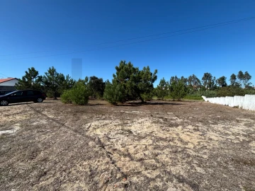 Terreno para Venda em Vieira de Leiria