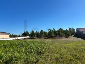 Terreno para Venda em Vieira de Leiria