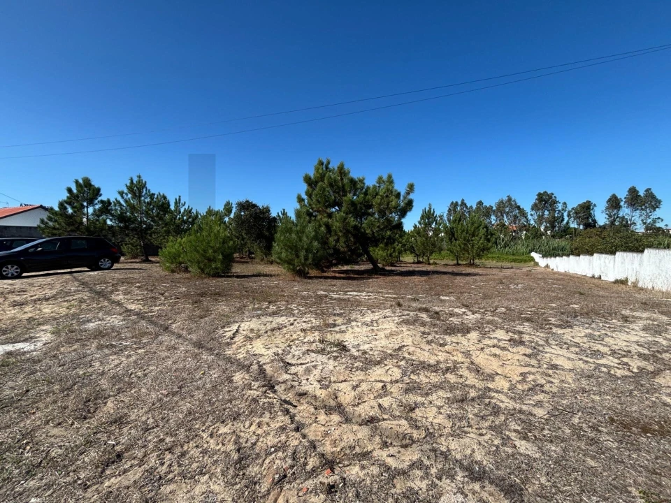 Terreno para Venda em Vieira de Leiria Foto 12