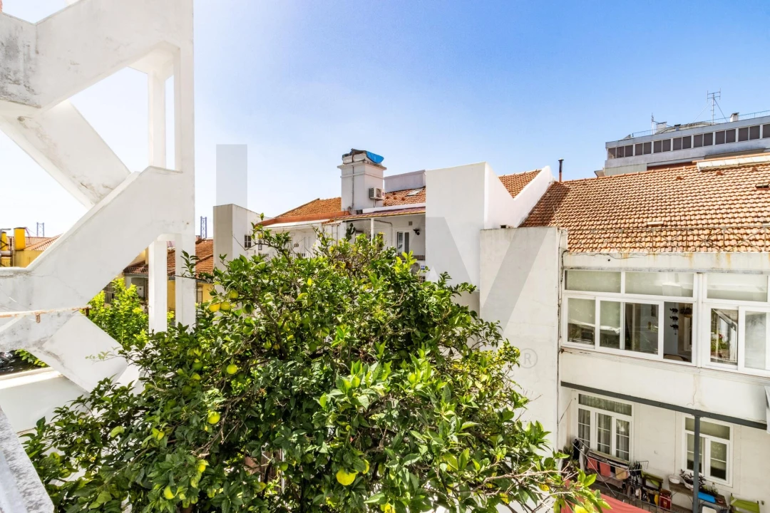 Apartamento T3 para Venda em Estrela Foto 9