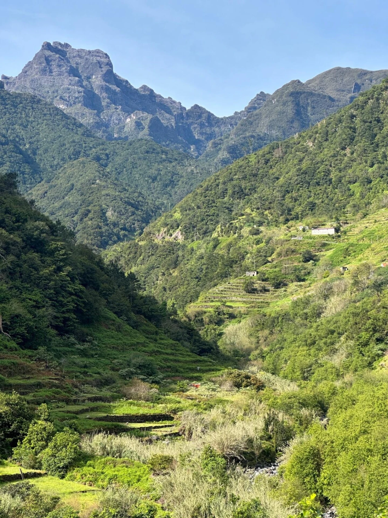 Terreno para Venda em Boa Ventura Foto 5