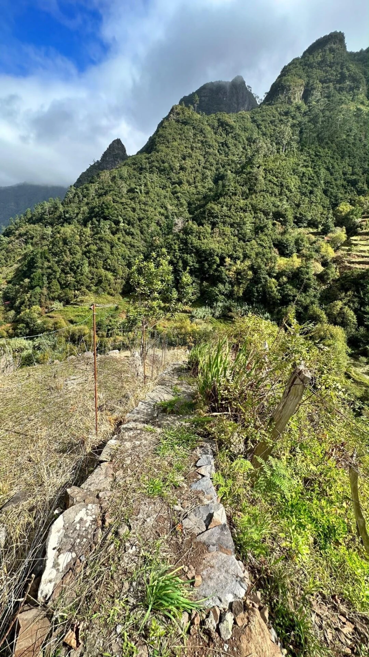 Terreno para Venda em Boa Ventura Foto 12