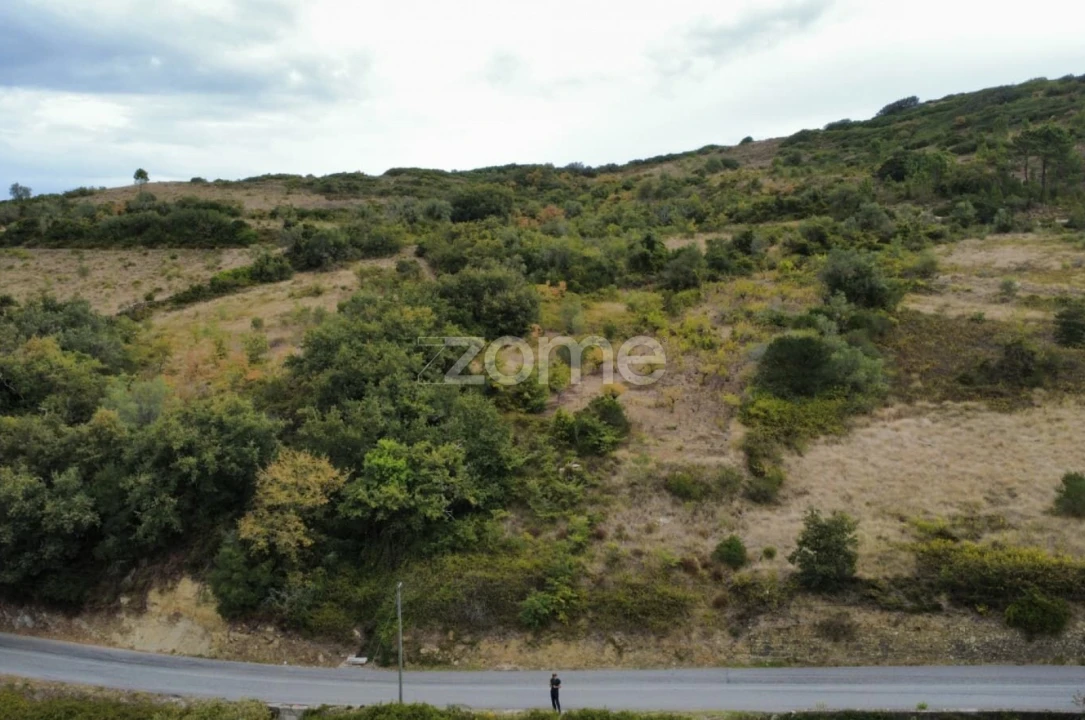 Terreno para Venda em Arranho Foto 7