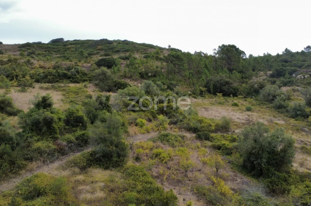 Terreno para Venda em Arranho Foto 14