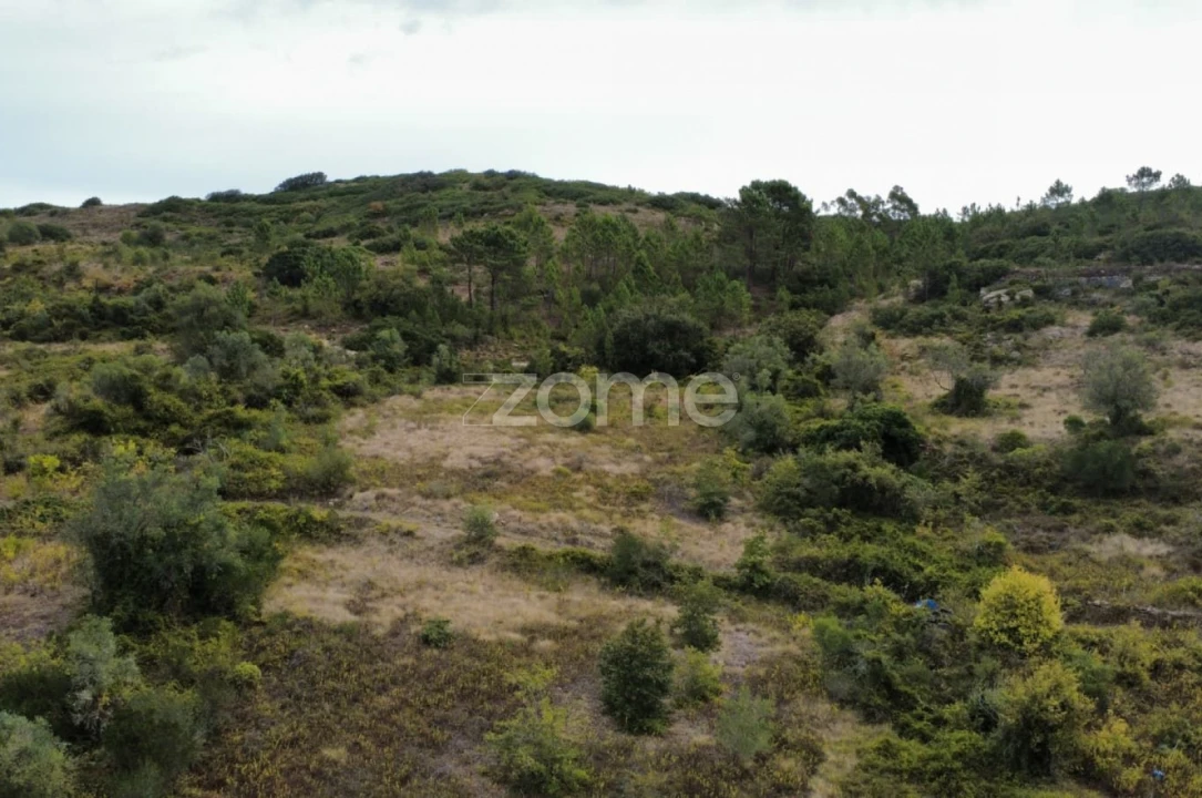 Terreno para Venda em Arranho Foto 21