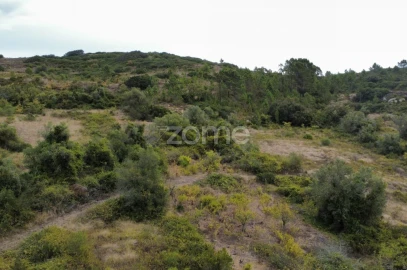 Terreno para Venda em Arranho