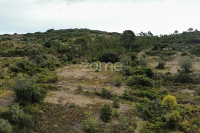 Terreno para Venda em Arranho