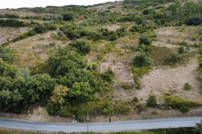 Terreno para Venda em Arranho