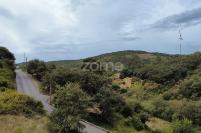 Terreno para Venda em Arranho
