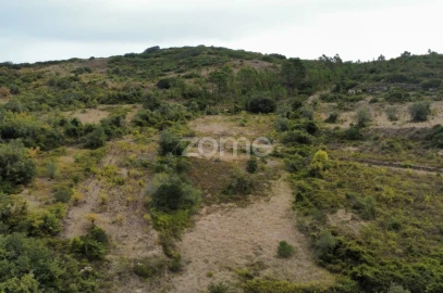 Terreno para Venda em Arranho
