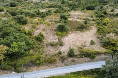 Terreno para Venda em Arranho