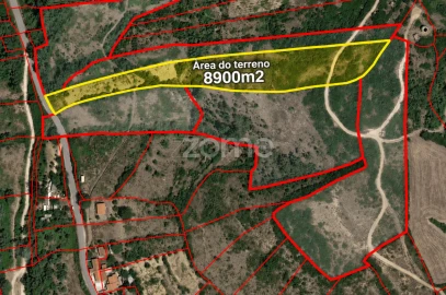 Terreno para Venda em Arranho