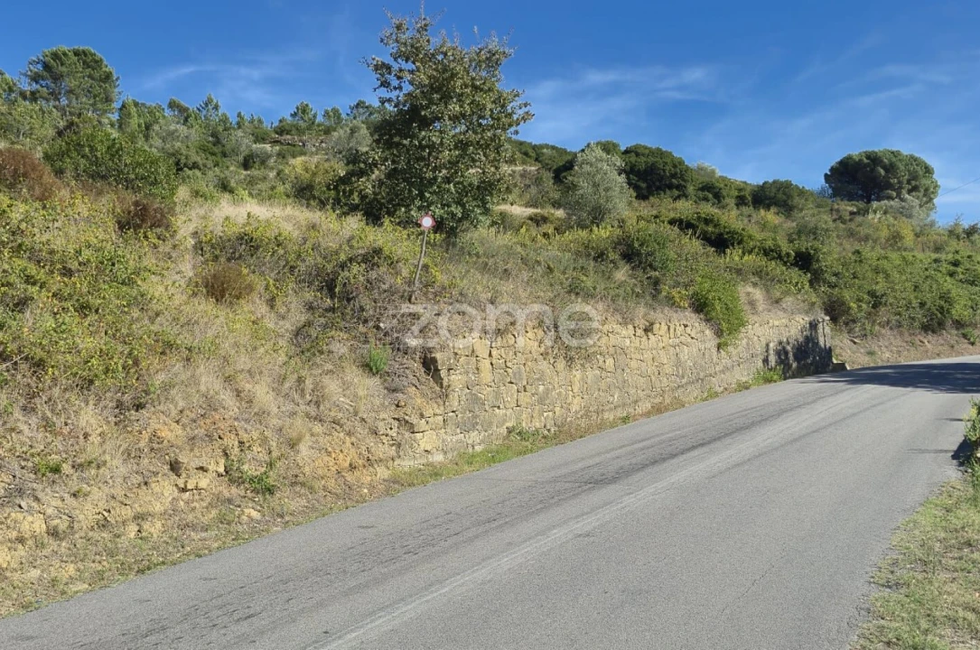 Terreno para Venda em Arranho Foto 23