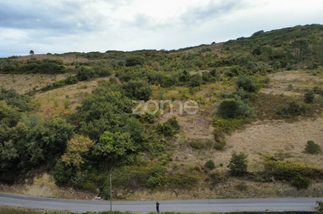 Terreno para Venda em Arranho Foto 5