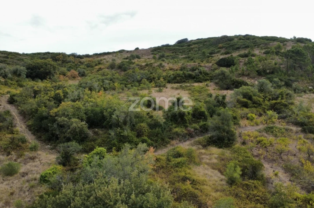 Terreno para Venda em Arranho Foto 11