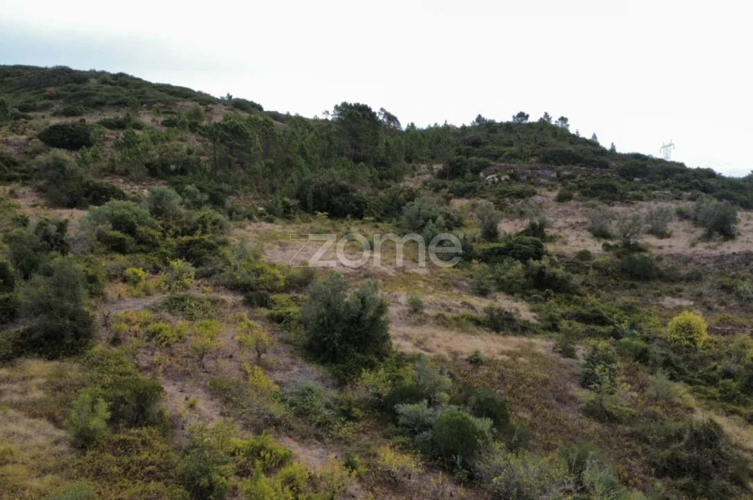 Terreno para Venda em Arranho Foto 12