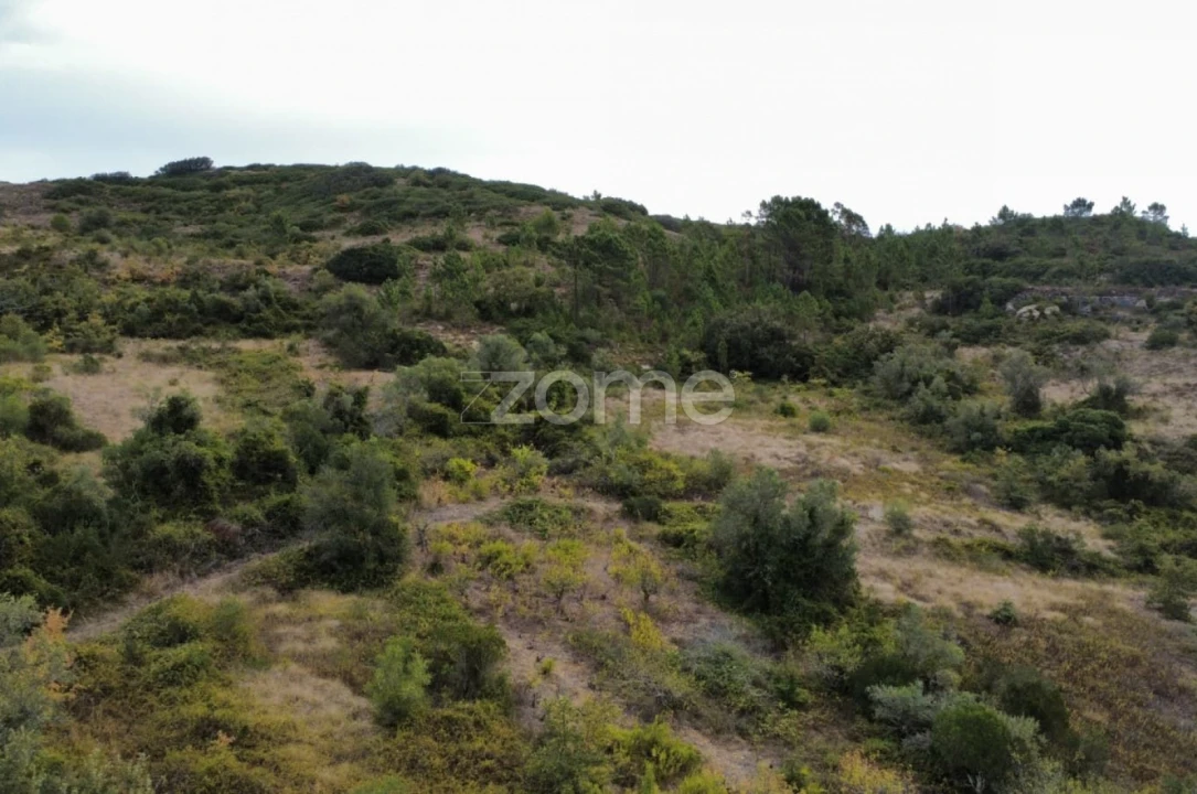 Terreno para Venda em Arranho Foto 13