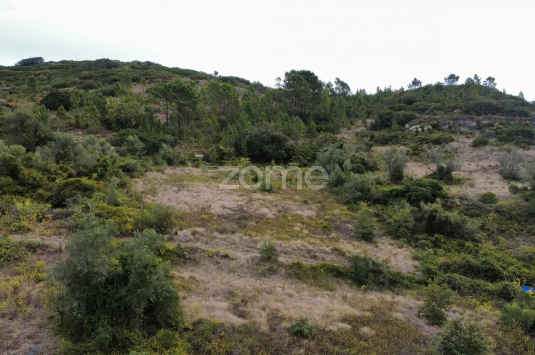 Terreno para Venda em Arranho Foto 15