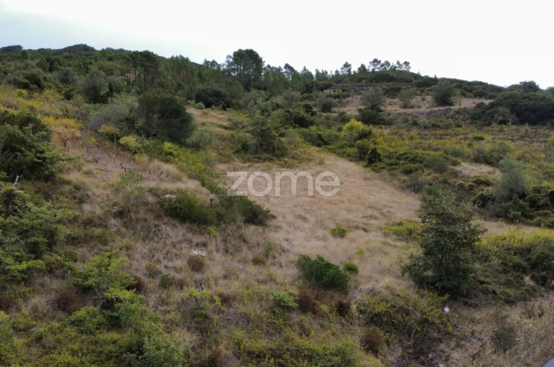 Terreno para Venda em Arranho Foto 17