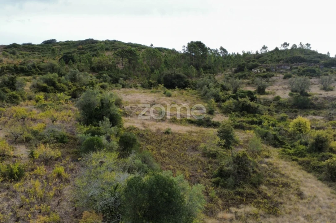 Terreno para Venda em Arranho Foto 18