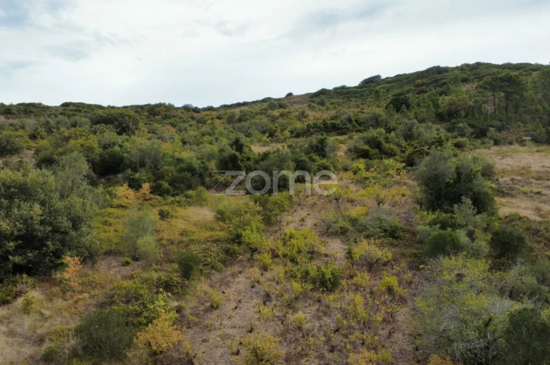 Terreno para Venda em Arranho Foto 19