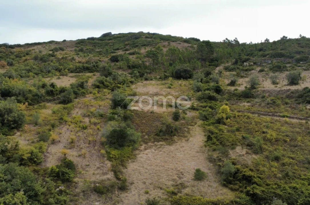 Terreno para Venda em Arranho Foto 20