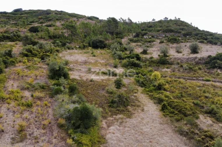 Terreno para Venda em Arranho Foto 16