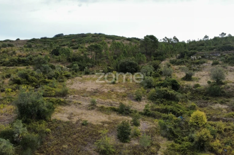 Terreno para Venda em Arranho Foto 21