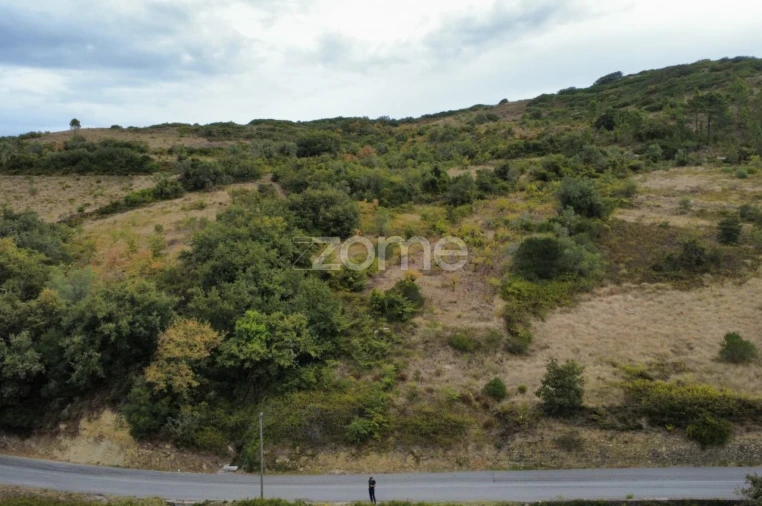 Terreno para Venda em Arranho Foto 5
