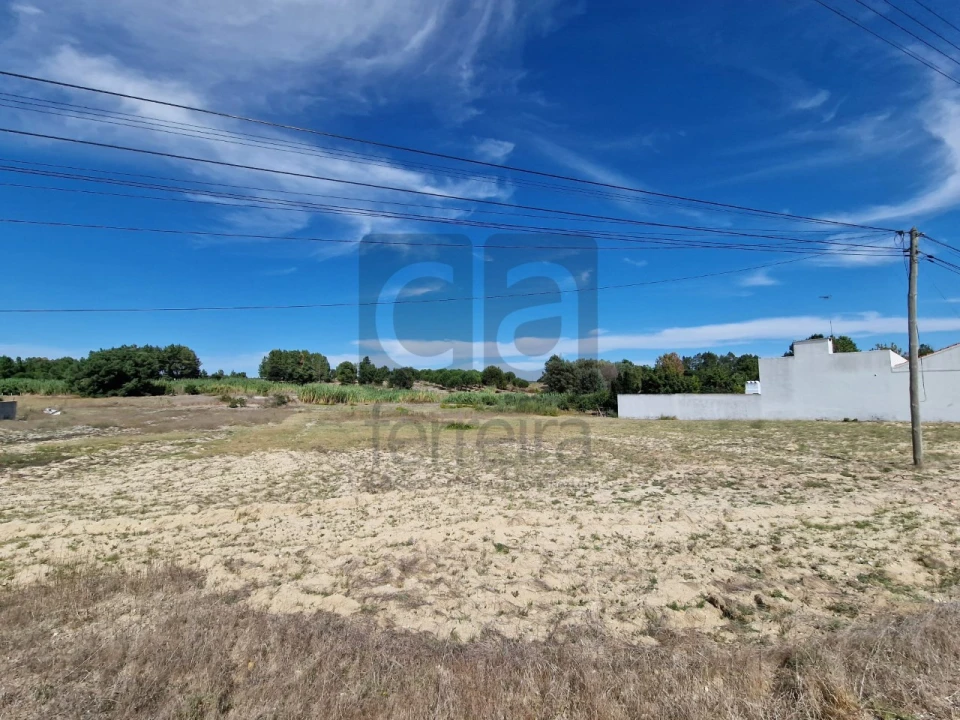 Terreno para Venda em Fazendas de Almeirim Foto 3