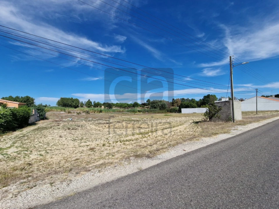 Terreno para Venda em Fazendas de Almeirim Foto 5