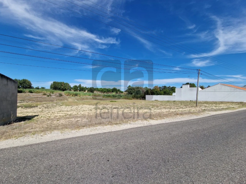 Terreno para Venda em Fazendas de Almeirim Foto 6