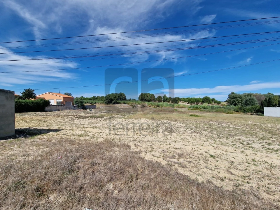 Terreno para Venda em Fazendas de Almeirim Foto 8