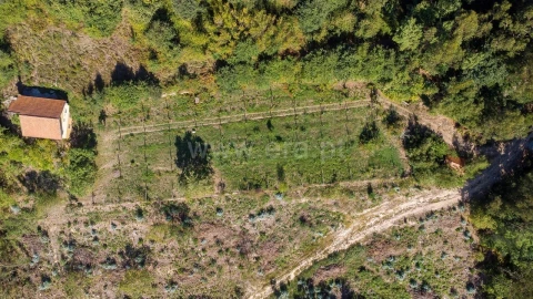 Moradia T3 para Venda em Rio de Moinhos