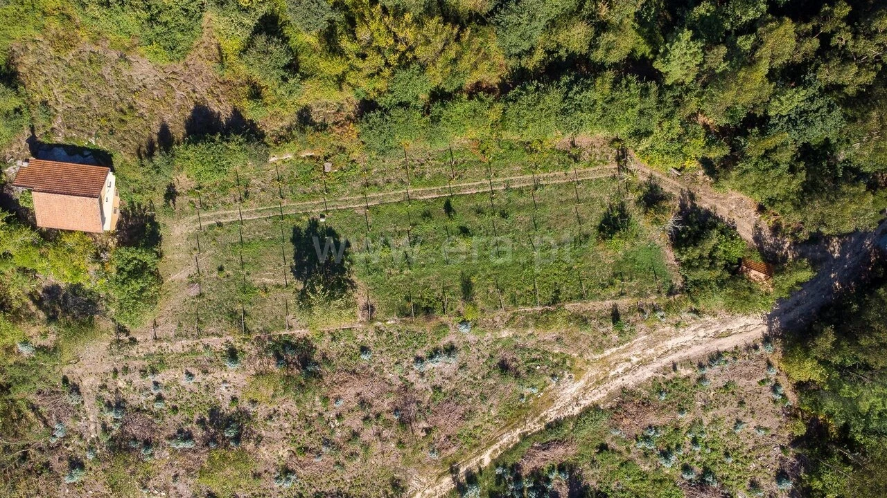 Moradia T3 para Venda em Rio de Moinhos Foto 10
