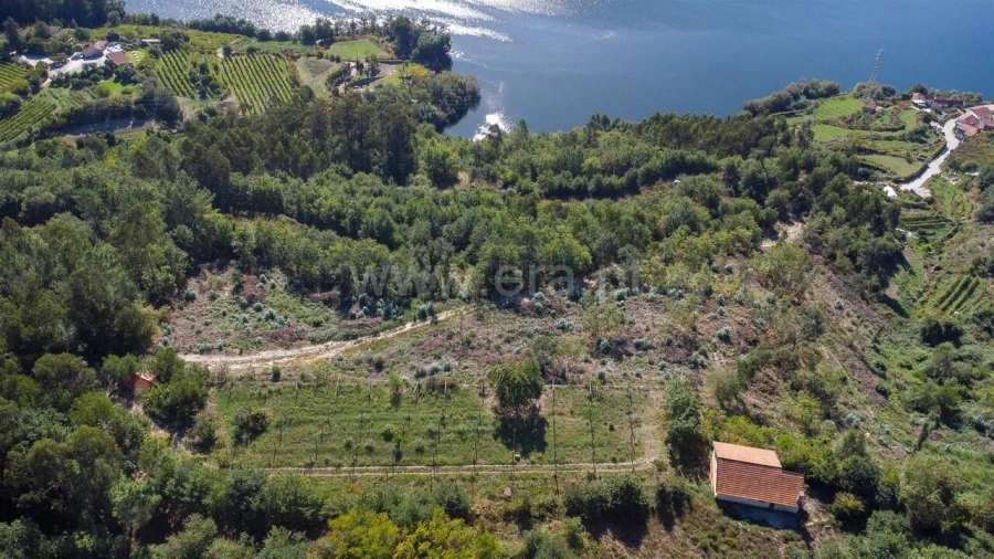 Moradia T3 para Venda em Rio de Moinhos Foto 9