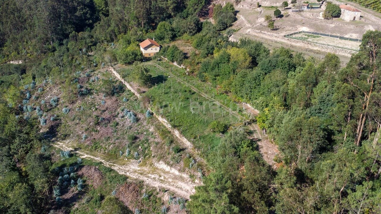 Moradia T3 para Venda em Rio de Moinhos Foto 8