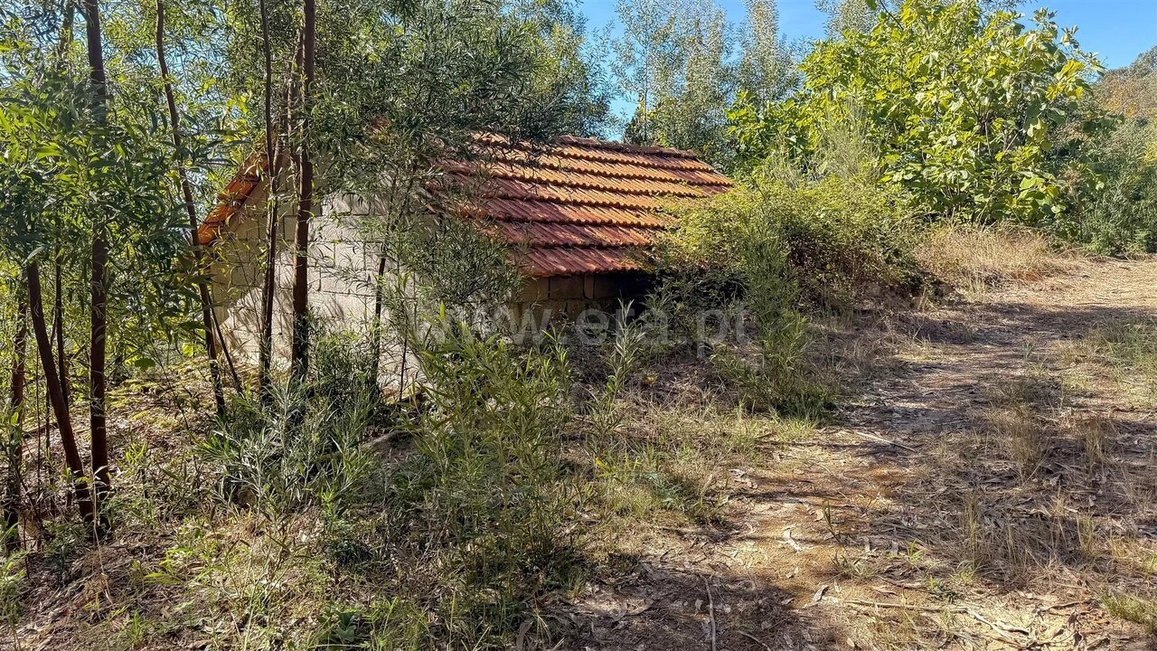 Moradia T3 para Venda em Rio de Moinhos Foto 18