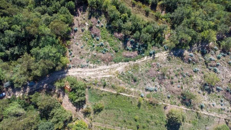 Terreno para Venda em Rio de Moinhos Foto 2
