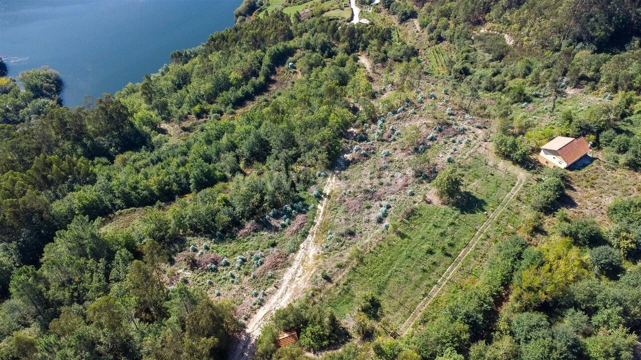 Terreno para Venda em Rio de Moinhos Foto 3