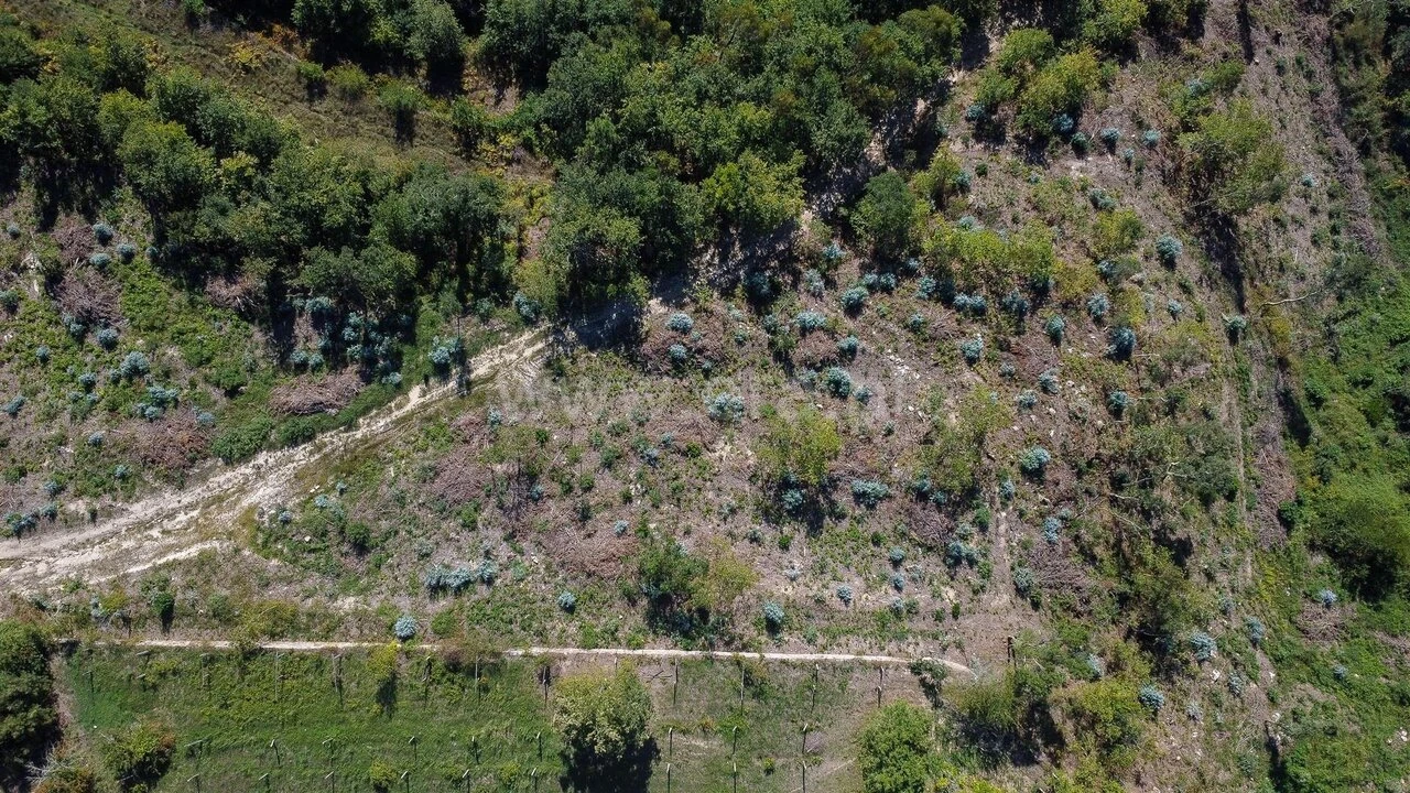 Terreno para Venda em Rio de Moinhos Foto 1