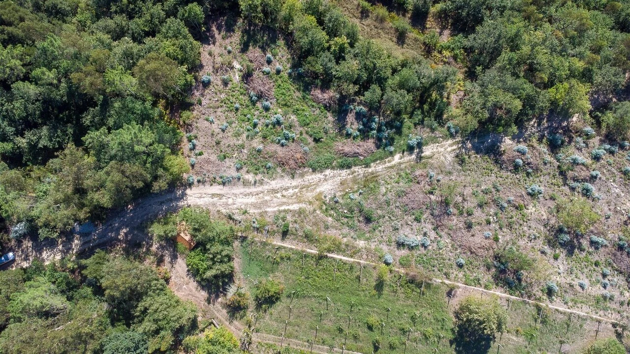 Terreno para Venda em Rio de Moinhos Foto 2